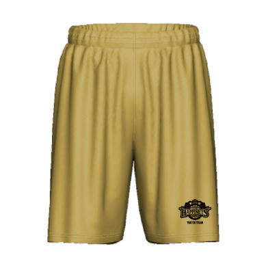 【YOUTH TEAM限定】チノショーツ